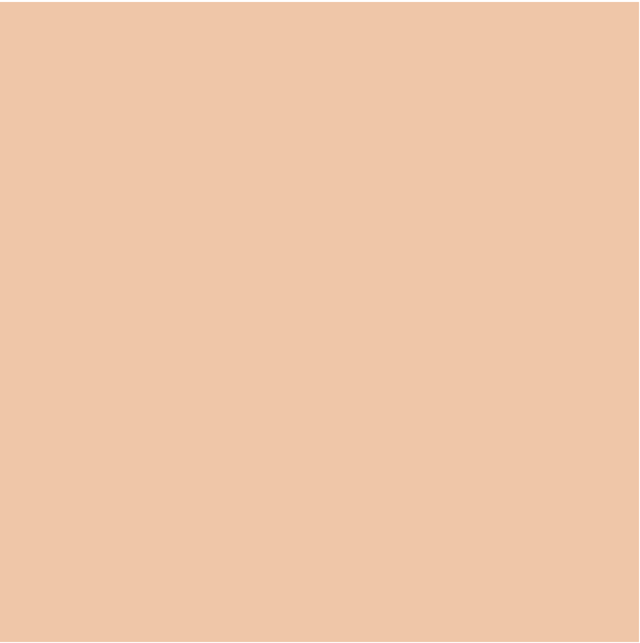 Spot Treat Concealer