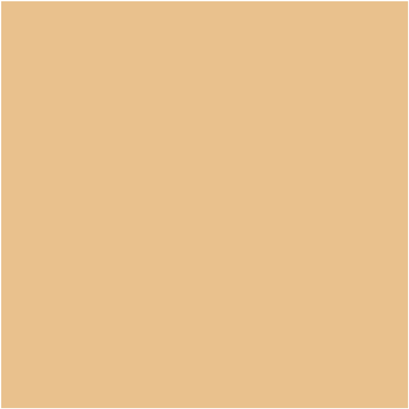 Spot Treat Concealer