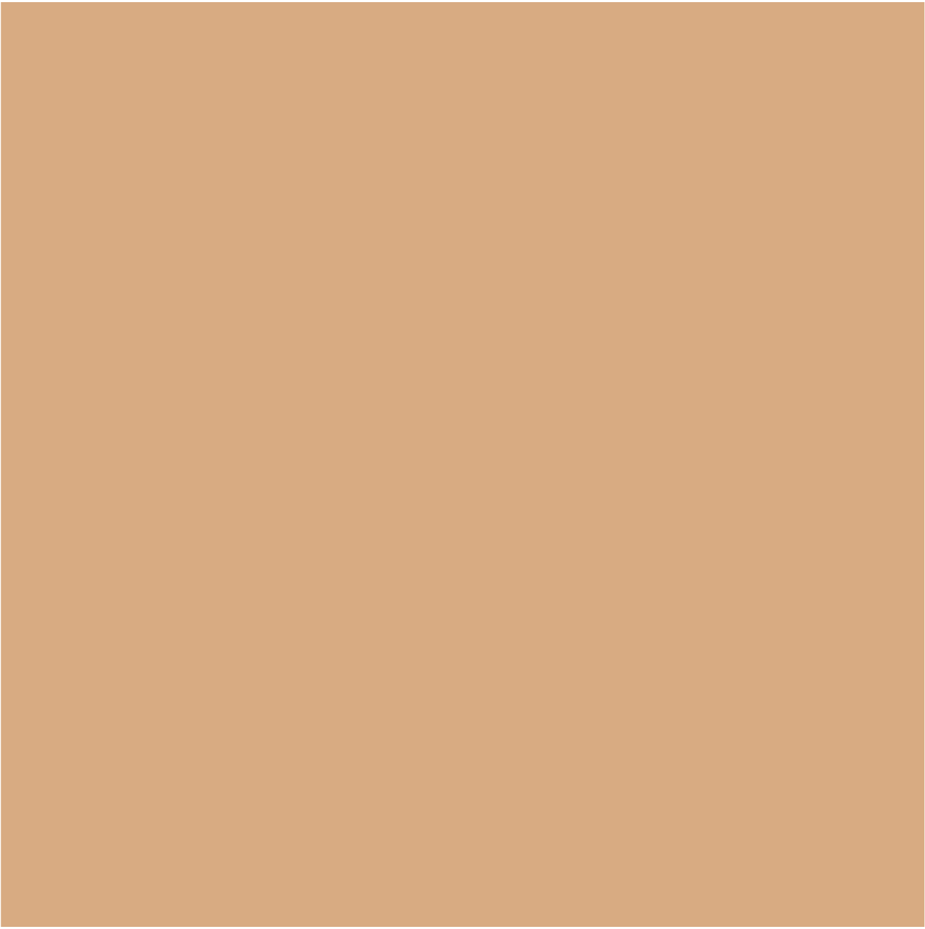 Spot Treat Concealer