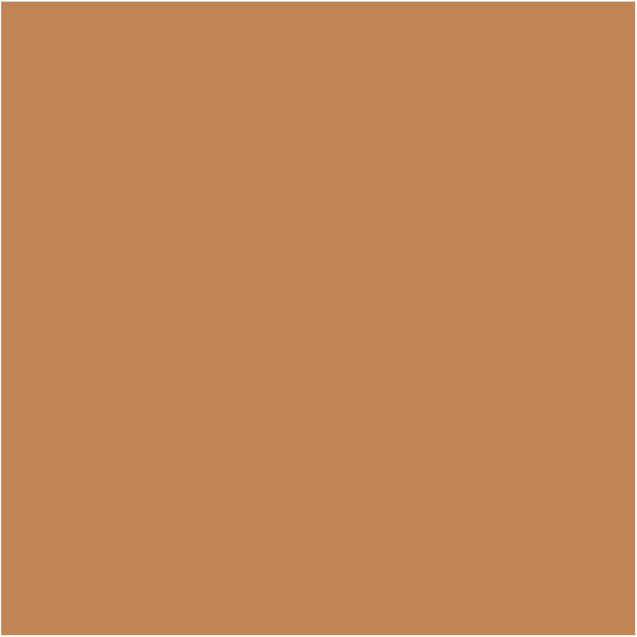 Spot Treat Concealer