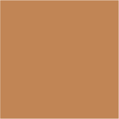 Spot Treat Concealer